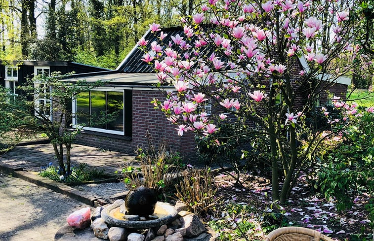 Natuurhuisje in Haarlo