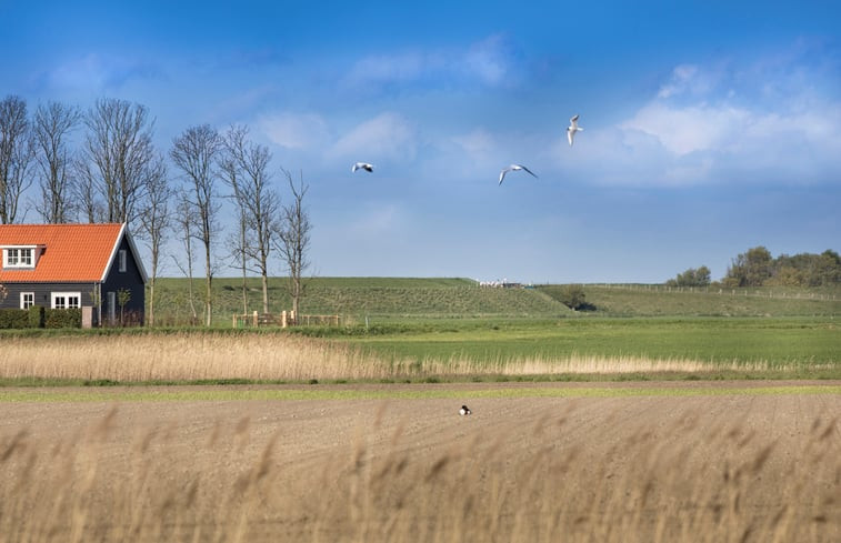 Natuurhuisje in Wissenkerke