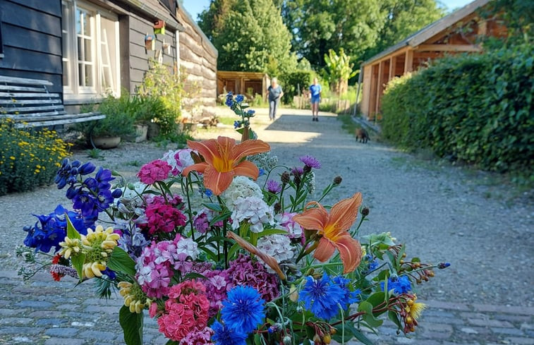 Natuurhuisje in Waspik