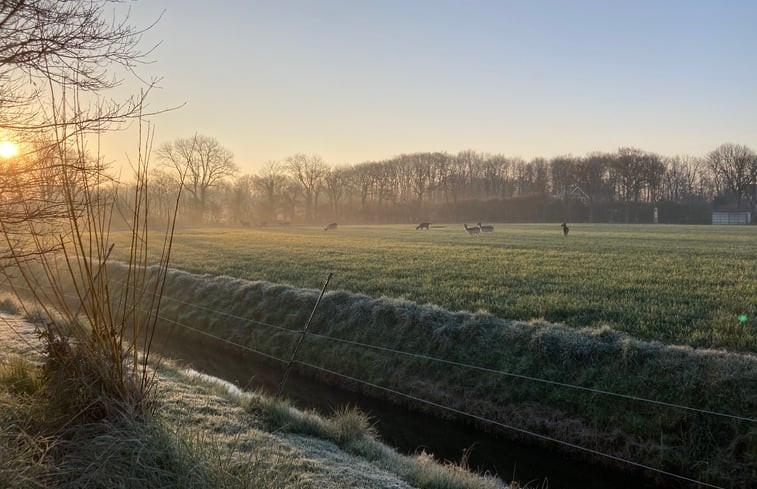 Natuurhuisje in Oostkapelle