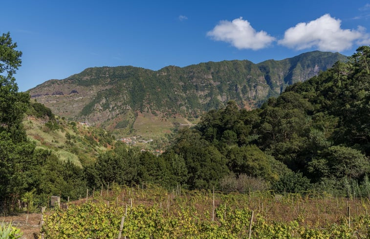 Natuurhuisje in São Vicente