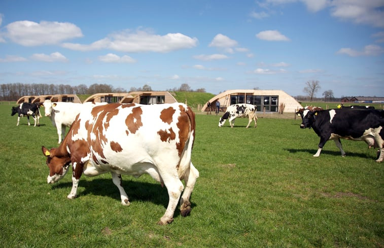 Natuurhuisje in Heeten