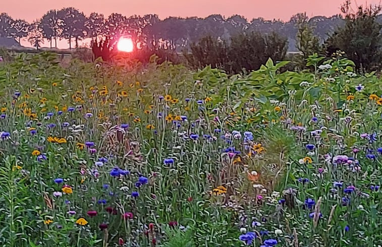 Natuurhuisje in Bronneger