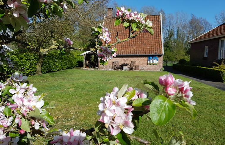 Natuurhuisje in Diepenheim