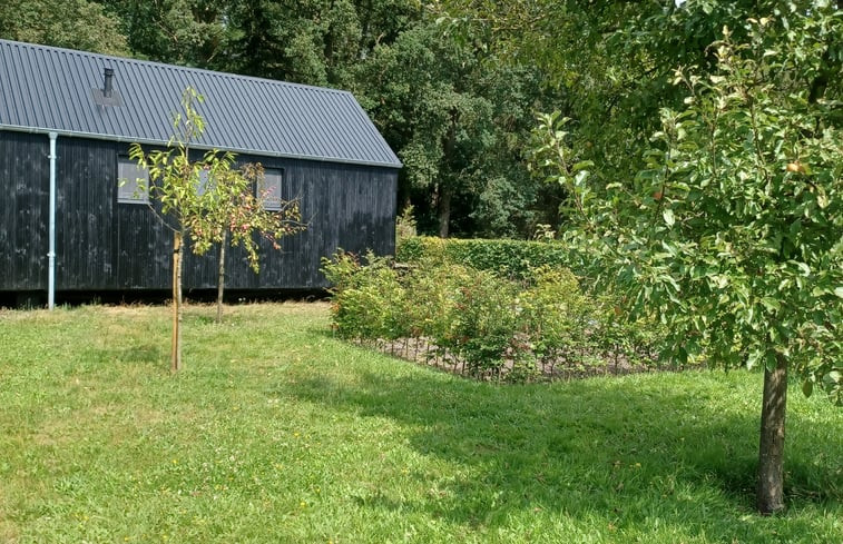 Natuurhuisje in Hollandscheveld