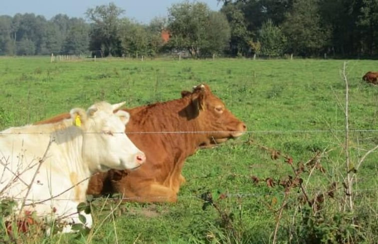 Natuurhuisje in Winterswijk