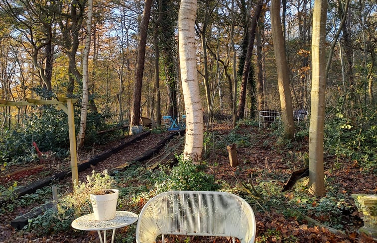 Natuurhuisje in Vledder