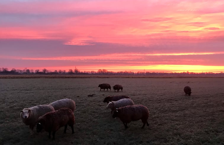 Natuurhuisje in Nijeveen