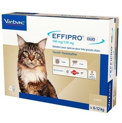 Effipro Duo Spot-On Kat vanaf 6 kg - 4 pip