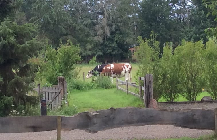 Natuurhuisje in Holten