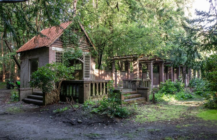 Natuurhuisje in Laren