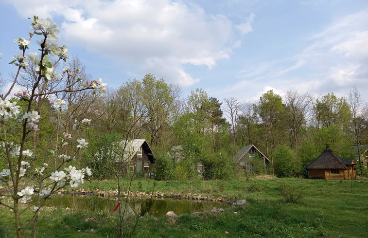 Natuurhuisje in Bergeijk