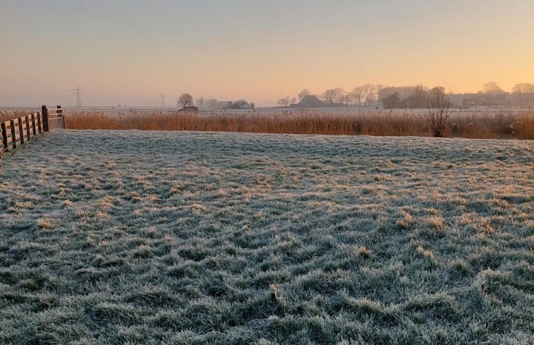 Natuurhuisje in Welsrijp