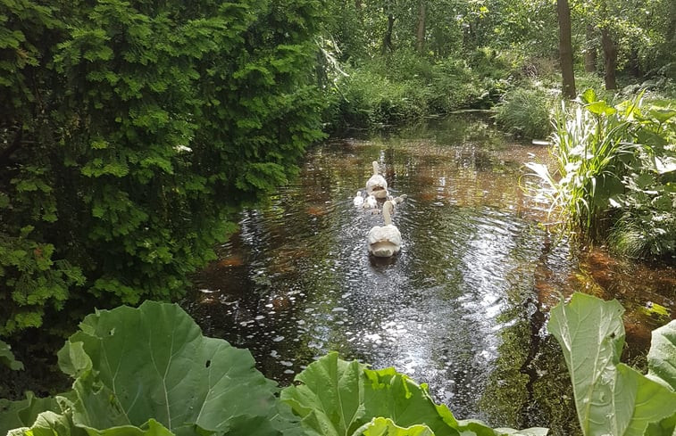 Natuurhuisje in de Hoef