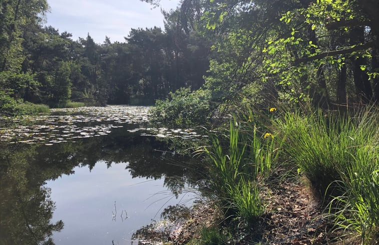 Natuurhuisje in Oisterwijk