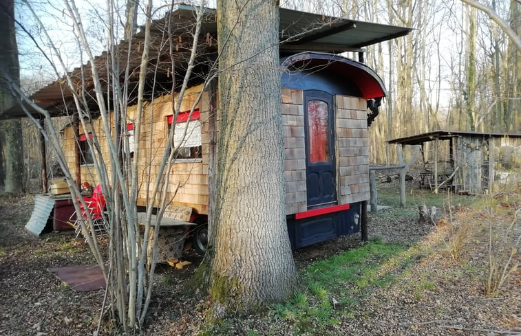 Natuurhuisje in Tielt-Winge