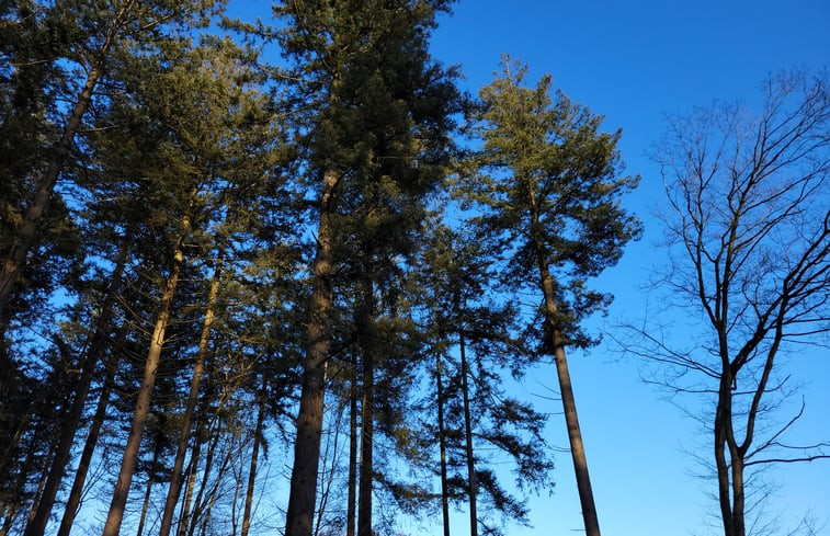 Natuurhuisje in Holten