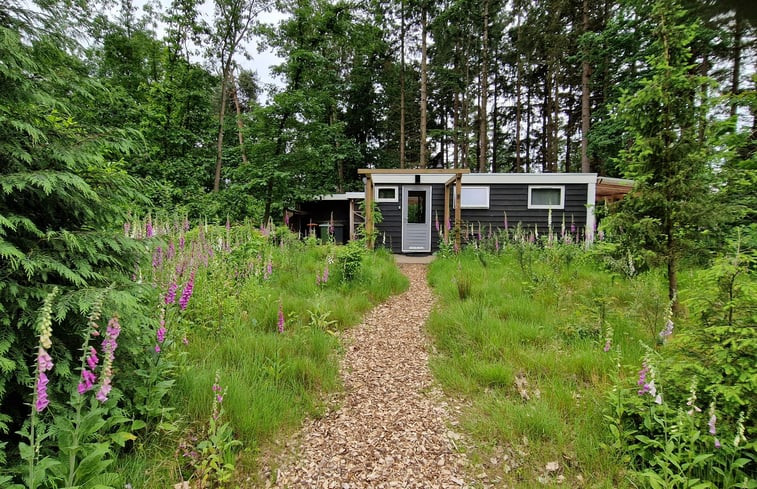 Natuurhuisje in Eeserveen