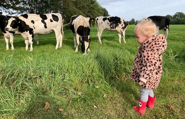 Natuurhuisje in Stoutenburg