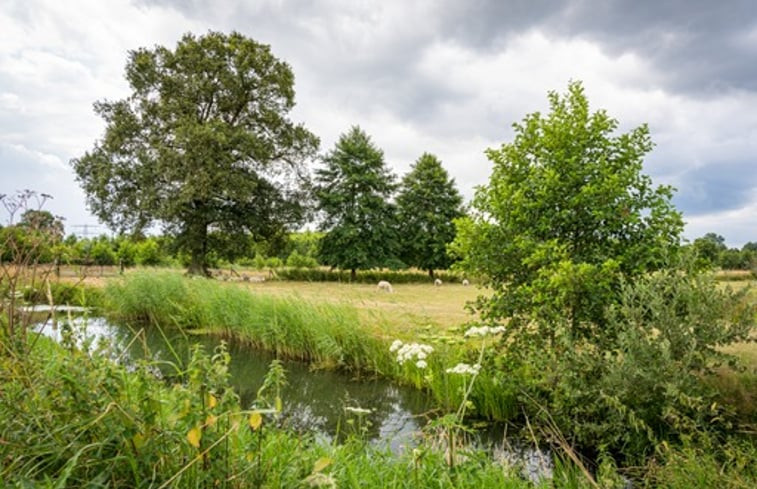 Natuurhuisje in Beemte Broekland