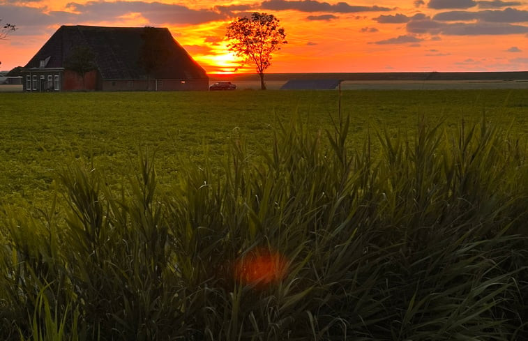 Natuurhuisje in St.-Annaparochie