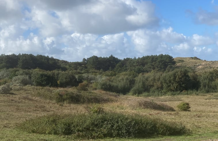 Natuurhuisje in Egmond- Binnen