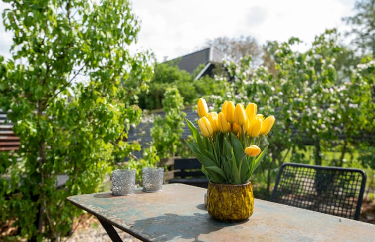 Natuurhuisje in Aarlanderveen