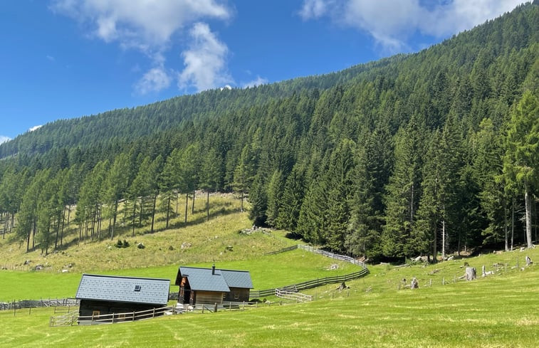 Natuurhuisje in Radenthein