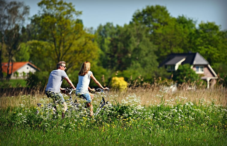 Natuurhuisje in Schoonloo