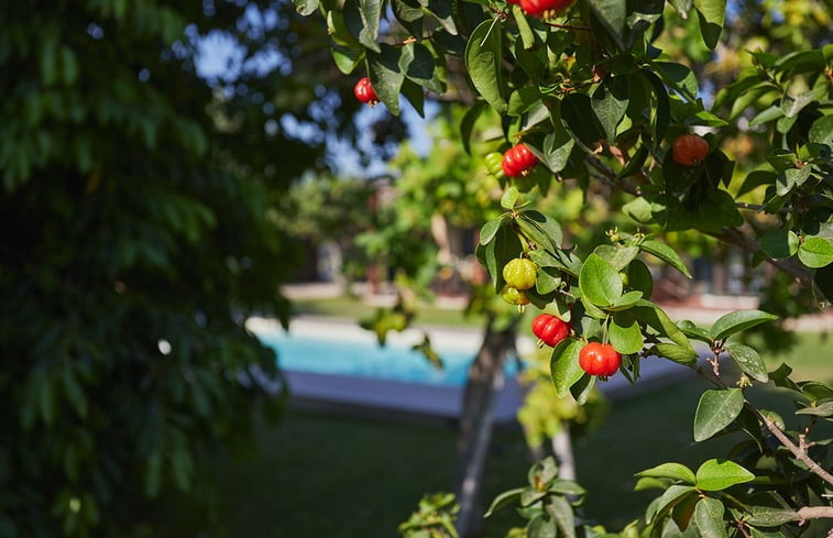 Natuurhuisje in lido di noto