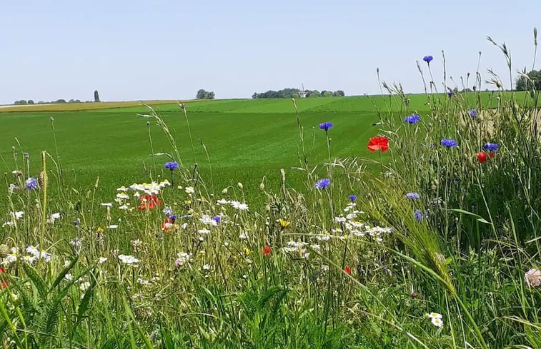 Natuurhuisje in Margraten