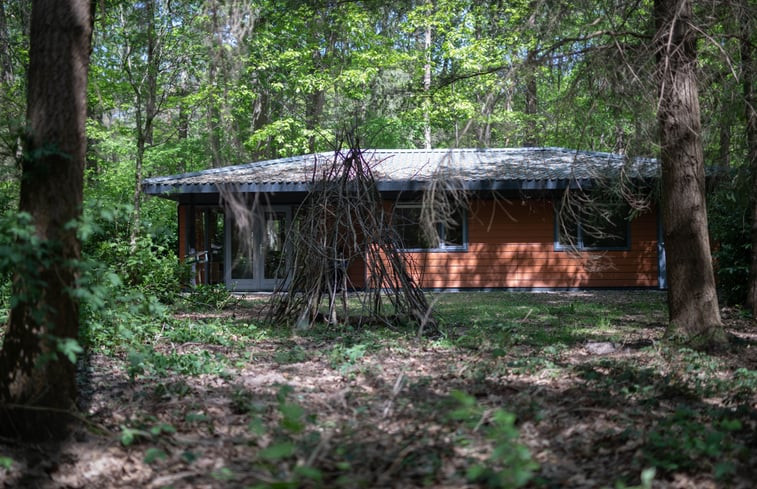 Natuurhuisje in Voorthuizen