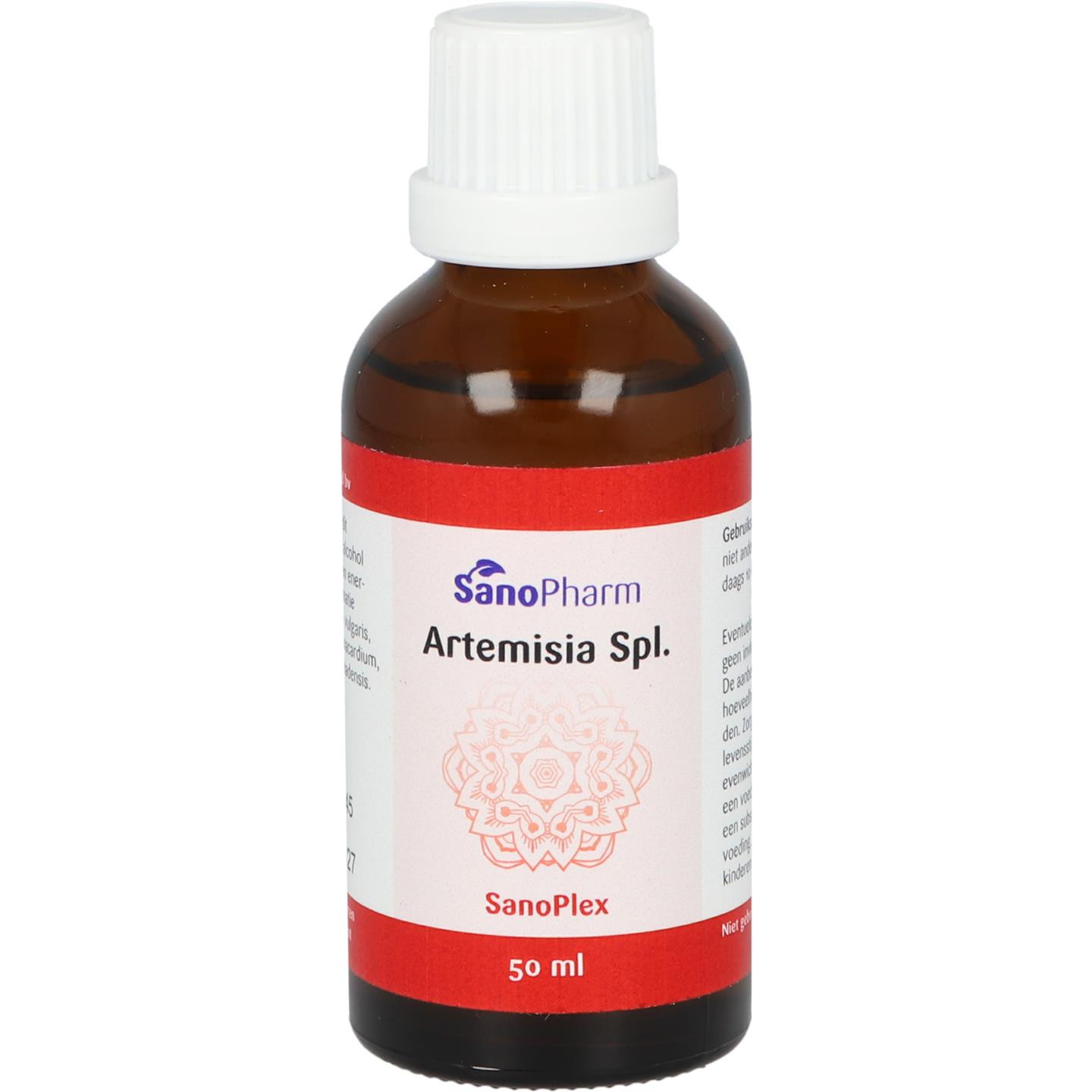 Artemisia Spl.