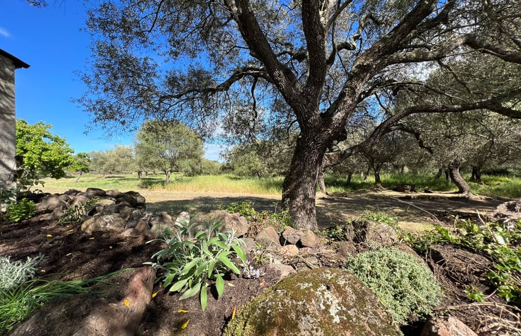 Natuurhuisje in Paulilatino