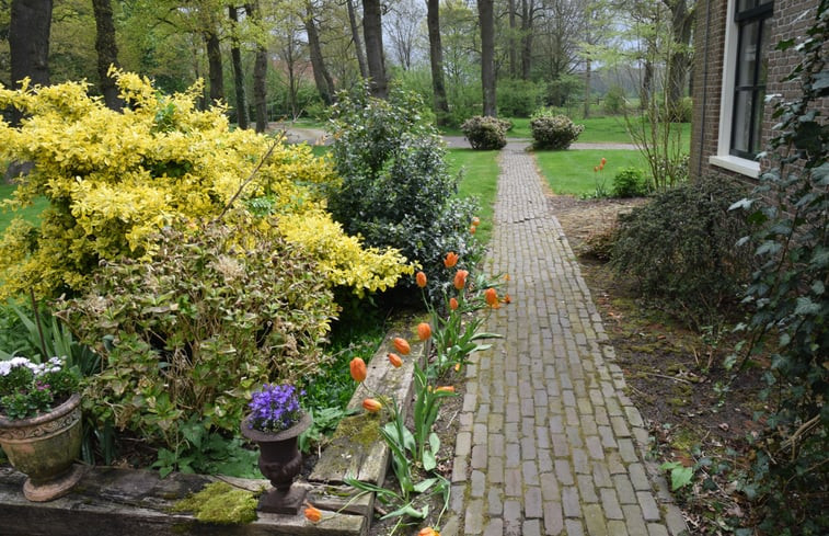 Natuurhuisje in Onstwedde