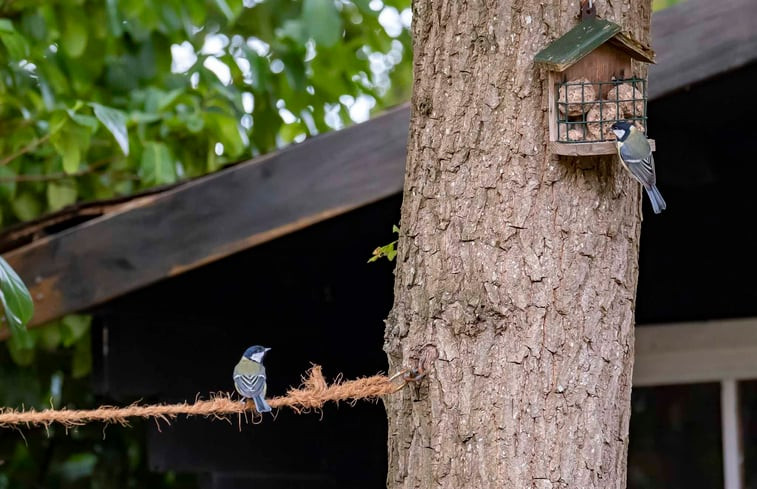 Natuurhuisje in Hattemerbroek