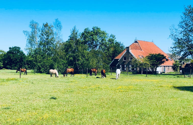 Natuurhuisje in Oldeberkoop