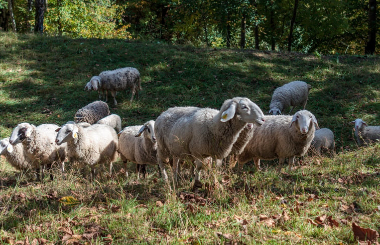 Natuurhuisje in Bohinjska Bistrica