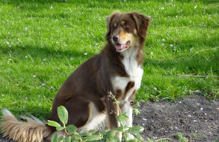 Natuurhuisje in Westbeemster