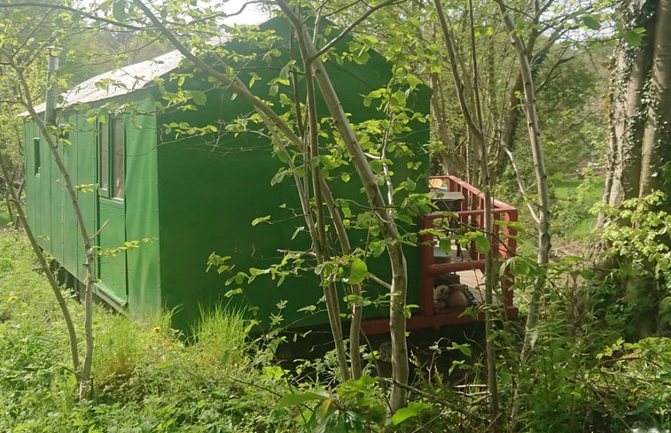 Natuurhuisje in Ascheffel