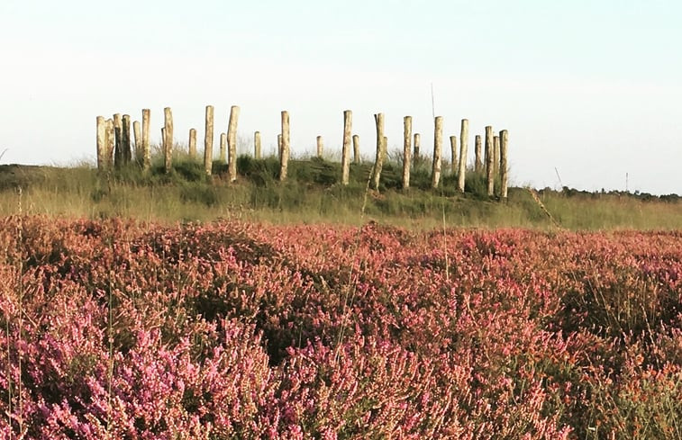 Natuurhuisje in Riel