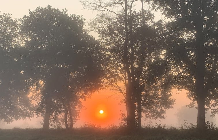 Natuurhuisje in Doldersum