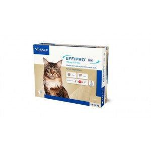 Virbac Effipro Duo Spot-on voor katten van 6 tot 12 kg 4 pipetten