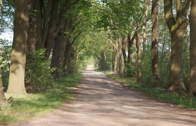 Natuurhuisje in Rijssen