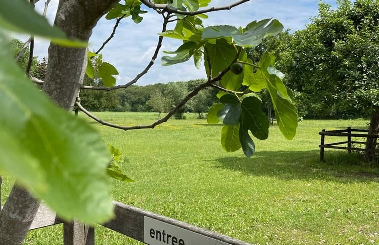 Natuurhuisje in Dalfsen