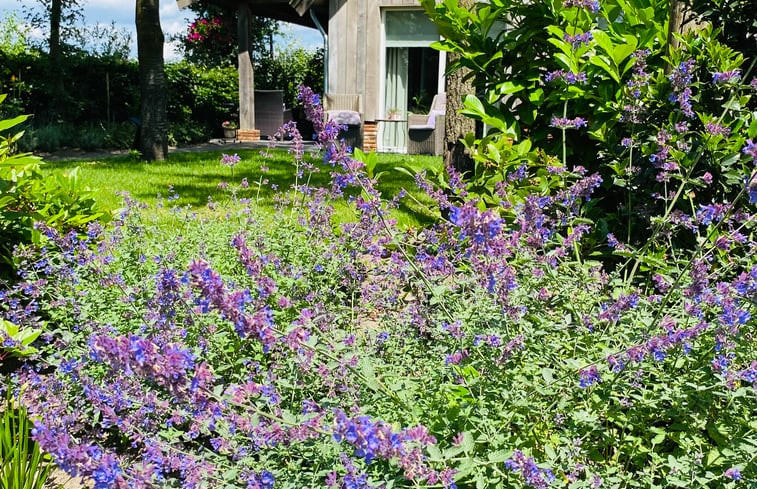 Natuurhuisje in Overdinkel