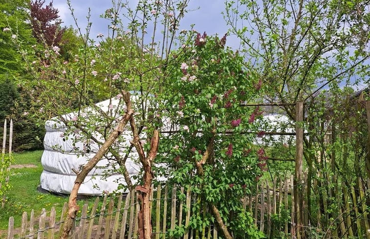 Natuurhuisje in Emmen