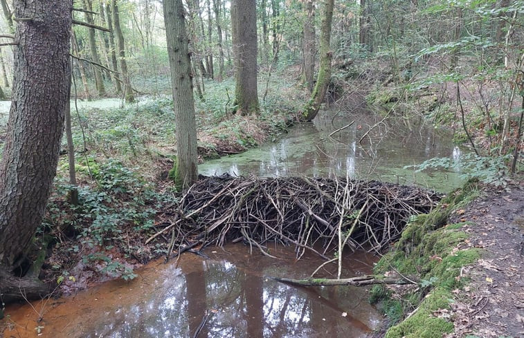 Natuurhuisje in Gellik-Lanaken