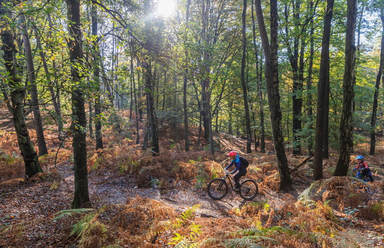 Natuurhuisje in Vorden