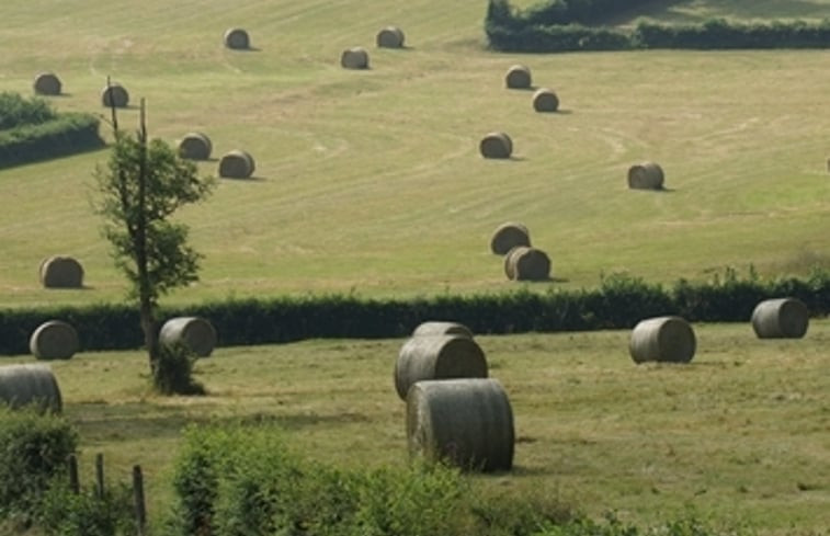 Natuurhuisje in Espinasse